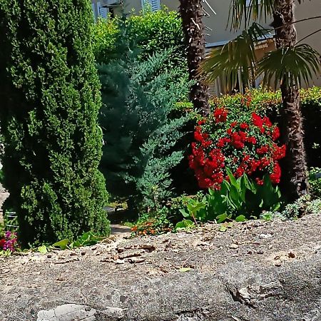Apartment Sun Garden مالينسكا المظهر الخارجي الصورة