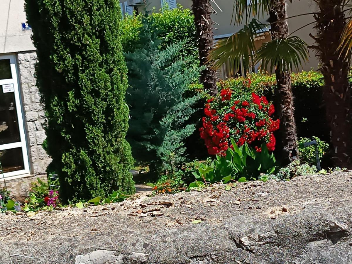 Apartment Sun Garden مالينسكا المظهر الخارجي الصورة